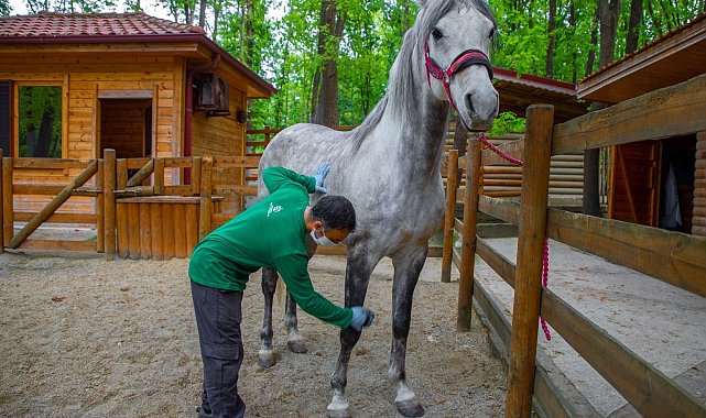 Avrupa'nın en büyük doğal yaşam parkı bayramda doğaseverler için hazırlandı