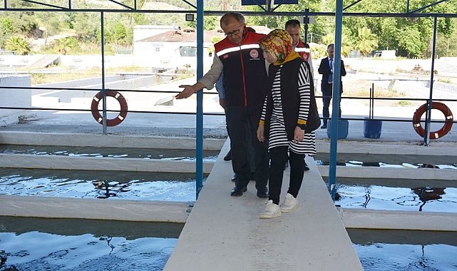 Aydın&#039;da 2023 yılında balık ihracatından 230 milyon dolar gelir elde edildi