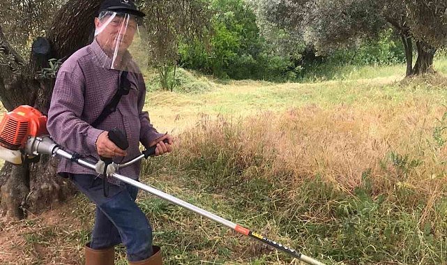 Aydın'da kuru otlar temizleniyor