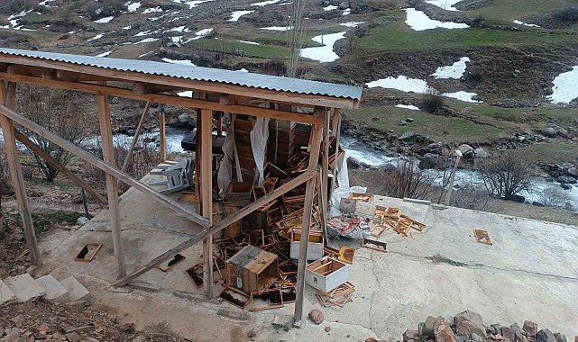 Ayılar arıcılara ait malzemeleri kullanılamaz hale getirdi