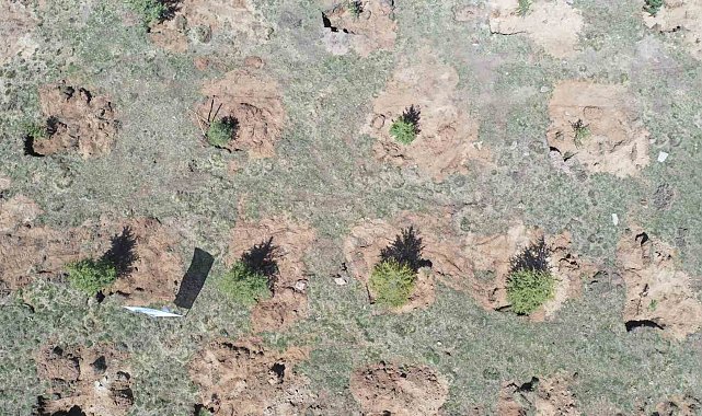 Bakanlık ve büyükşehrin yeşil projesi ile hava kirliliğinin azaltılması için önemli bir adım atıldı