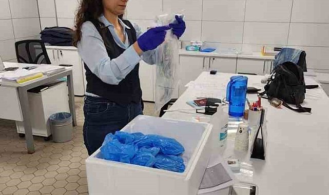 Balık ihracatı bayramda da devam etti
