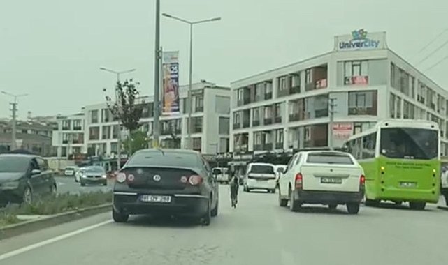 Başıboş tay trafiği karıştırdı