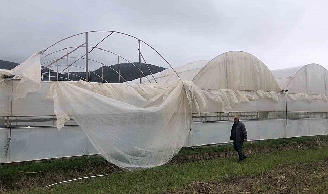 Başkan Arslan, Çameli'nde fırtınanın oluşturduğu hasarları yerinde inceledi