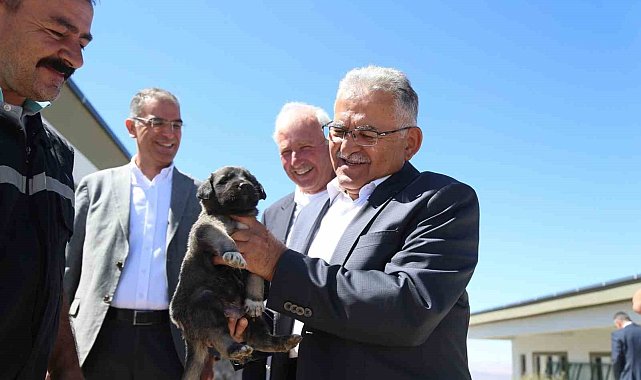 Başkan Büyükkılıç, dilsiz dostlara her daim sahip çıkıyor