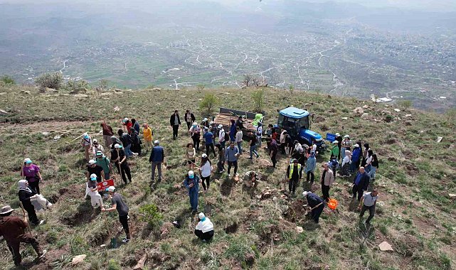 Başkan Yalçın: "Bu ağaçlar hepimizin sadakası"