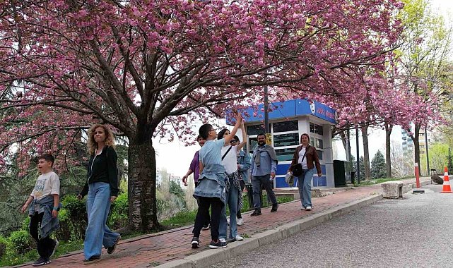 Başkentin parklarına vatandaşlardan yoğun ilgi