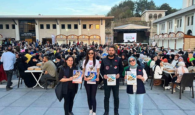 Batman'da sokak hayvanları unutulmadı