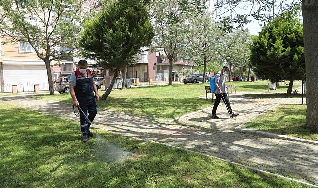 Bayraklı park ve bahçelerinde ilaçlama yapıldı
