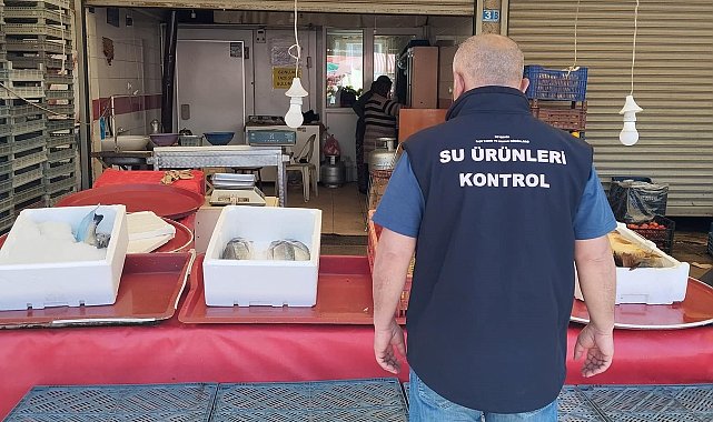 Beyşehir'de balık işleme tesisleri ve balık satış yerleri denetlendi