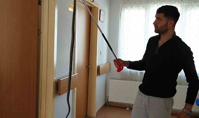 Bilecik&#039;te sağlık ocağına giren yılan panik yaşattı