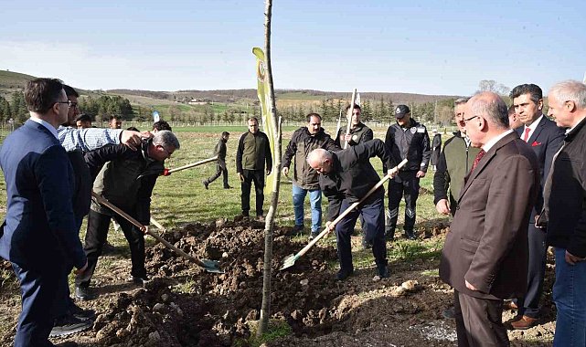 Bin 500 fidan toprakla buluşturuldu