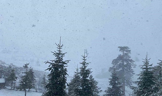 Bolu'da Nisan ayında lapa lapa kar yağışı