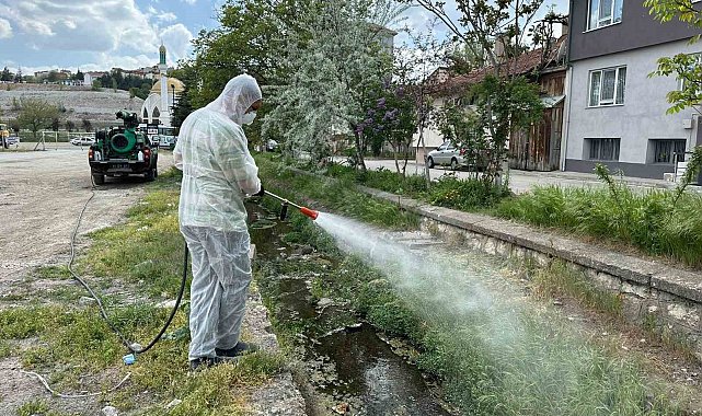 Bozüyük Belediyesi ilaçlama çalışmalarına hız verdi