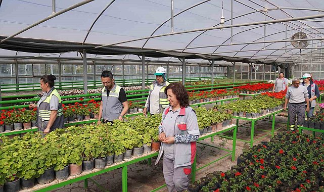 Bu seralarda üretilen rengârenk çiçekler Tepebaşı&#039;nı süslüyor