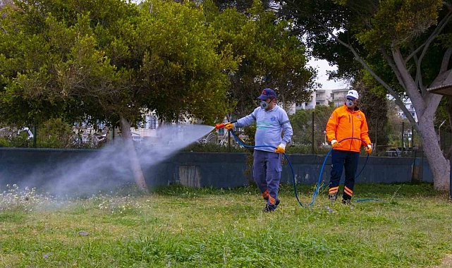 Büyükşehir Belediyesi, zararlı böceklere karşı mücadele başlattı