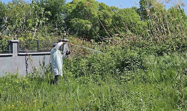 Büyükşehir ekipleri, sineksiz bir yaz için aralıksız çalışıyor