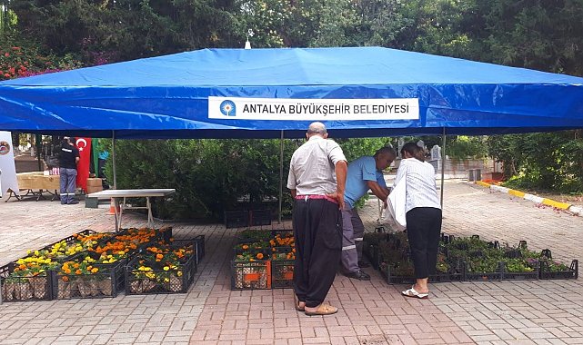Büyükşehir, kabir ziyareti yapan vatandaşlara çiçek dağıttı