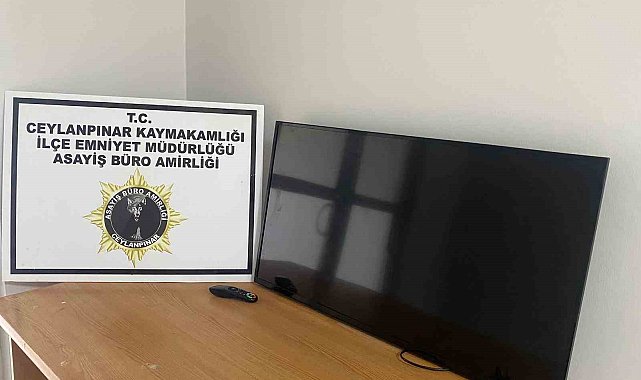 Çaldığı televizyonla birlikte yakalandı