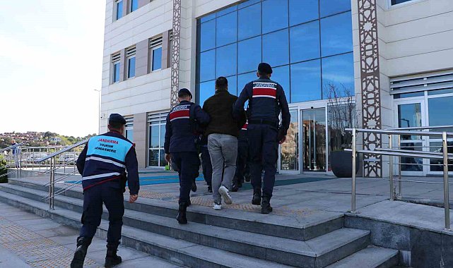 Çanakkale'de öldürüldü, Bursa'daki kimsesizler mezarlığından çıktı