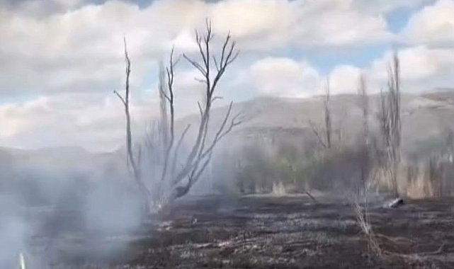 Çankırı'da arazi yangını