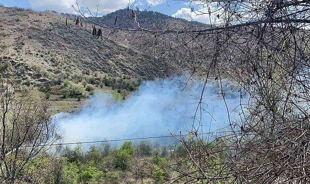 Çankırı'da orman yangını