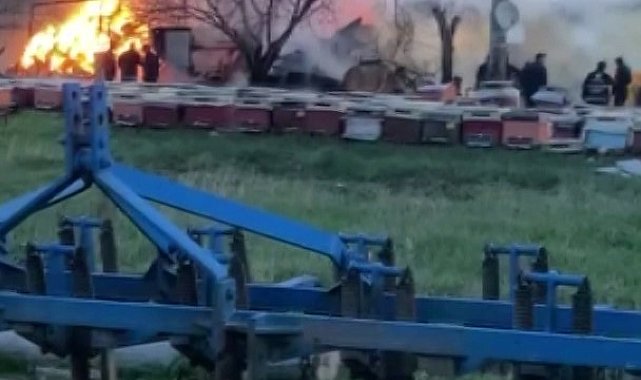 Çiftlikte çıkan yangında 21 büyükbaş hayvan telef oldu