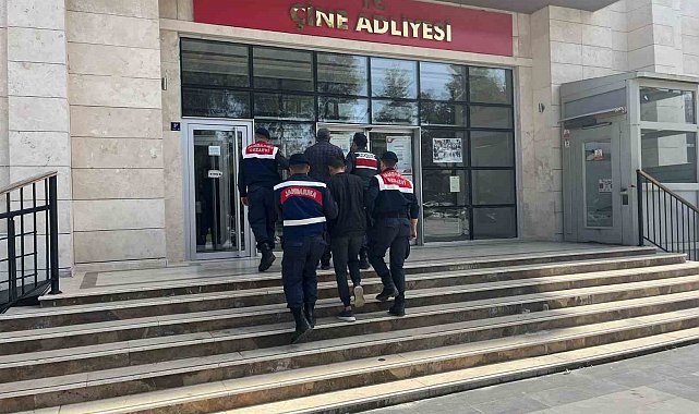 Çine'de hayvan hırsızları yakalandı