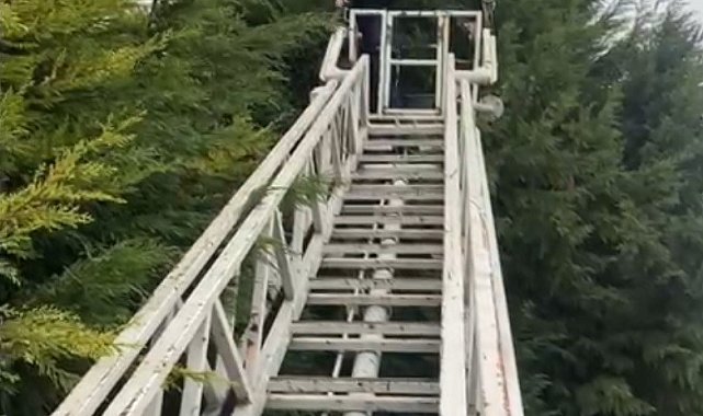 Çocukların ağaçta kalan topunu itfaiye kurtardı