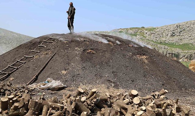 Çukurova sıcağında narenciye odunları mangal kömürüne dönüşüyor