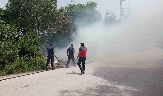 Defne'de ağaçlık alanda çıkan yangın söndürüldü