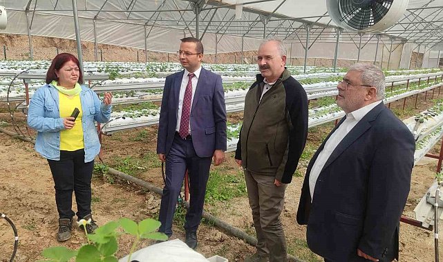 Devlet desteği ile kuruldu: Kadınlar modern serada üretime başladı