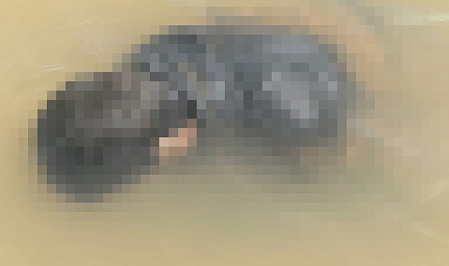 Diyarbakır'da kaybolan gencin cesedi bulundu