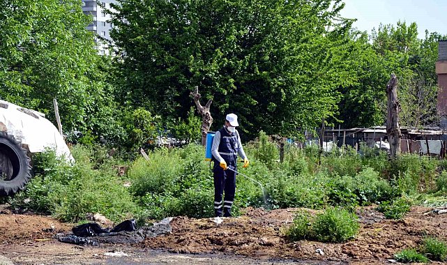 Diyarbakır'da vektörlere karşı ilaçlama çalışmaları sürüyor