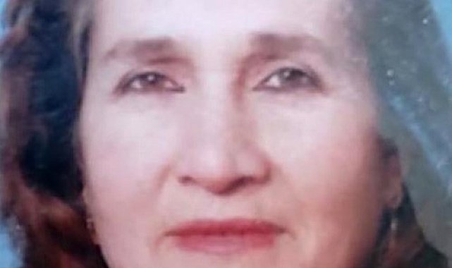 Dolmuşun açık bırakılan kapısından düşen kadın hayatını kaybetti
