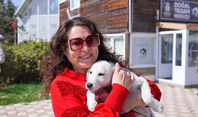 Dört &#039;Can&#039; daha sıcak yuvasına kavuştu