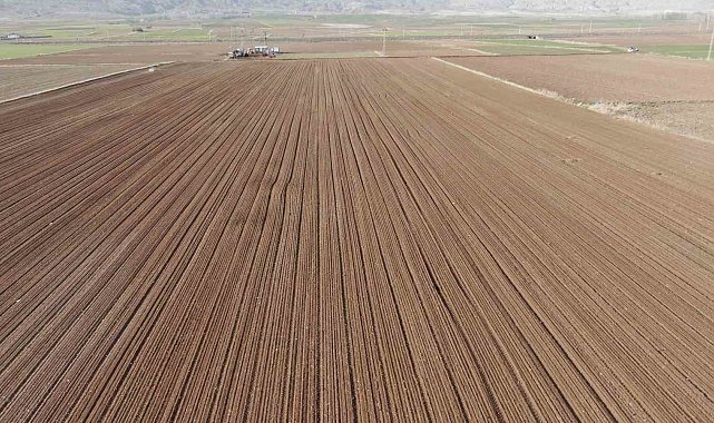 Dubai'ye gönderilmek üzere Sivas'ta toprakla buluşturuldular