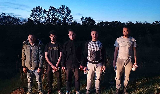 Edirne'de 5 kaçak göçmen yakalandı