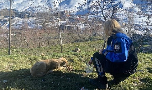 Emniyet personeli can dostları besledi