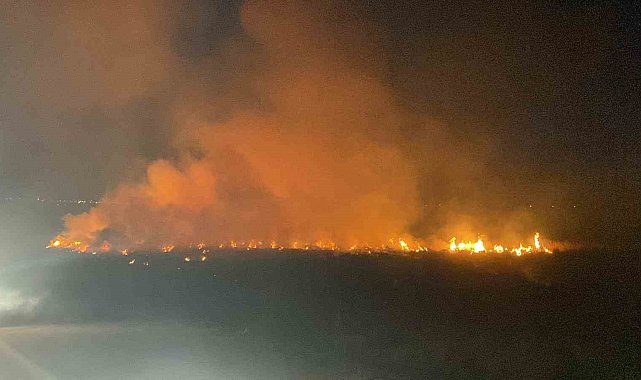 Erzincan'da örtü yangını itfaiyenin müdahalesiyle söndürüldü
