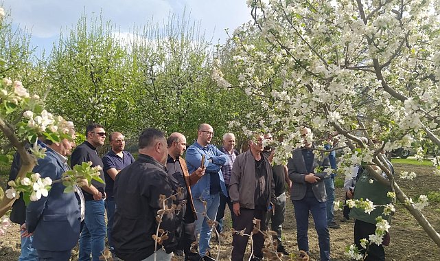 Erzincan'da uygulamalı "Meyve Ağacı Budama" kursu verildi