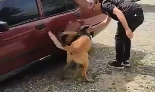 Eskişehir'den araç çalan şüpheliler Söğüt'te yakalandı