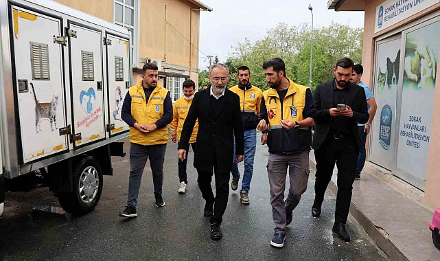 Eyüpsultan&#039;da sokak hayvanlarına yönelik çalışmalar sürdürülüyor