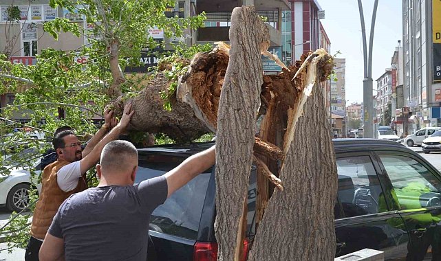 Fırtınada ağaç cipin üzerine devrildi, çatılar uçtu