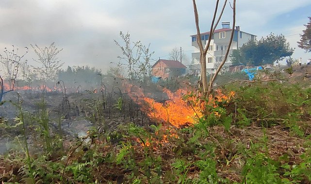 Giresun'da örtü yangını korkuttu