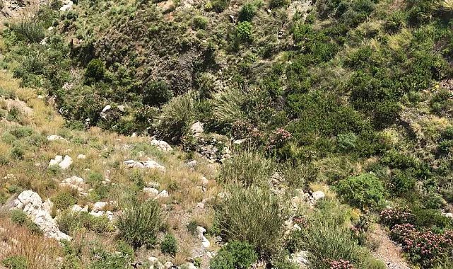 Göcek'te kayalıklardan düşen kişi hayatını kaybetti