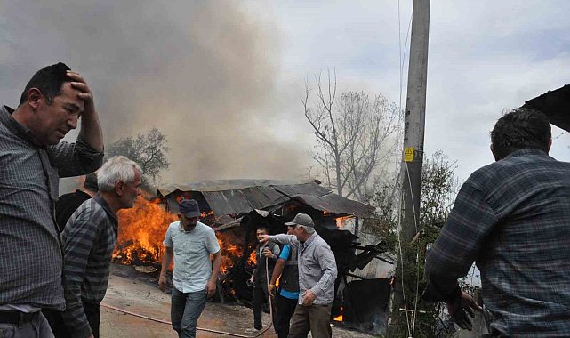 Gözü gibi baktığı oğlağı öldü sandı