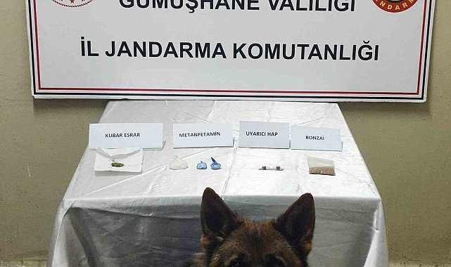 Gümüşhane Jandarmasından uyuşturucu operasyonu
