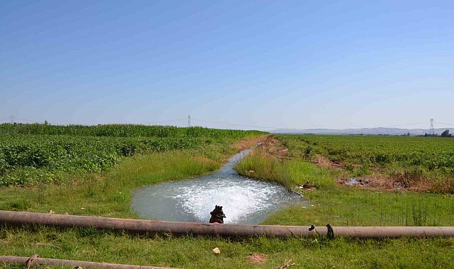 Güneydoğu'da çiftçilerin elektrik borcu 27 milyara ulaştı