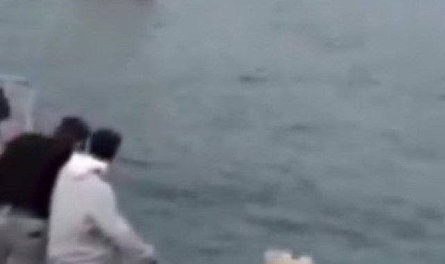 Halfeti'de tekneler kafa kafaya çarpıştı
